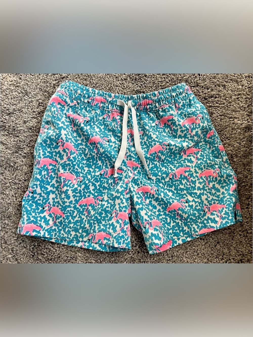 Chubbies Youth Flamingos Classic Swim Trunks Swim Trunks 🦩
